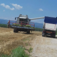 Žigc